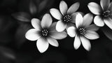 Black and white botanical wallpaper design file showing detailed flower pattern and intricate petals