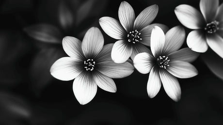Black and white botanical wallpaper design file showing detailed flower pattern and intricate petals