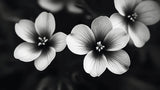 Black and white botanical wallpaper design file showing detailed flower photography pattern