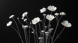 Black and white cosmos floral wallpaper design file showing detailed flower pattern and rich contrast