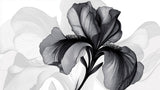 Blomstret Tapet | Sort og Hvid Iris Design