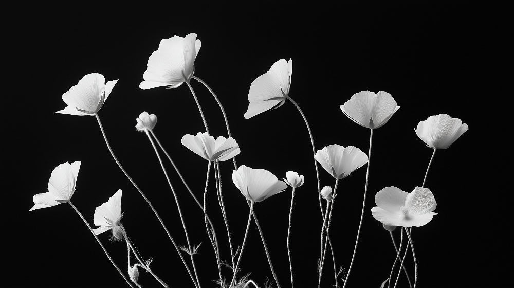 Black and white poppy design file showing detailed flower pattern and rich contrast