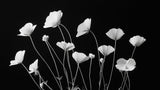 Black and white poppy design file showing detailed flower pattern and rich contrast