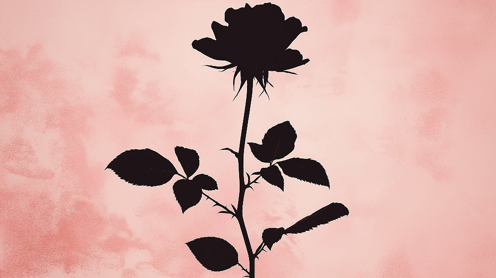 Black Rose Silhouette on Pink design file showing intricate floral pattern and rich contrast