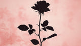 Black Rose Silhouette on Pink design file showing intricate floral pattern and rich contrast