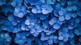 Blue Hydrangea Pattern design file showing detailed floral arrangement in cool blue tones