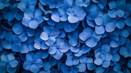 Blue Hydrangea Pattern design file showing detailed floral arrangement in cool blue tones