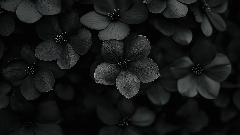 Black floral wallpaper design file showing detailed monochrome blooms pattern on dark background