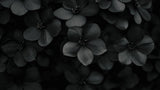 Black floral wallpaper design file showing detailed monochrome blooms pattern on dark background