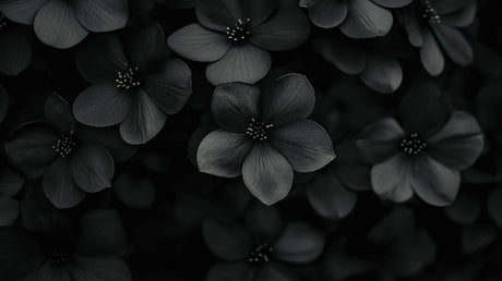 Black floral wallpaper design file showing detailed monochrome blooms pattern on dark background