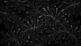 Black damask pattern design file showing intricate floral details and silver accents