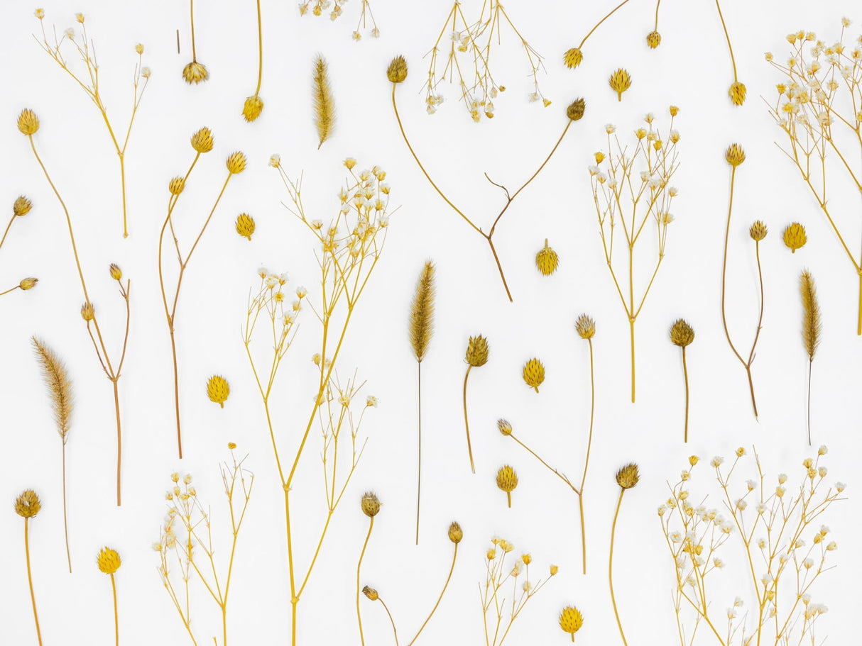 Golden dried flowers design file showing delicate botanical pattern