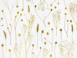 Golden dried flowers design file showing delicate botanical pattern