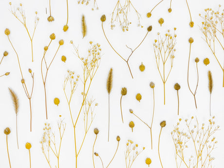 Golden dried flowers design file showing delicate botanical pattern