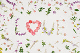 Design file of Pink Roses Love Letters floral wallpaper showing detailed flower pattern