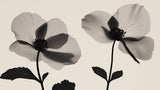 Monochrome Begonia design file showing detailed x-ray effect of floating petals and stems