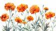 Orange Marigold floral wallpaper in bright modern living room showing scale and color impact