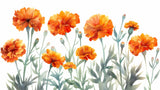 Papel Pintado Mural Floral | Caléndulas Naranjas con Tallos de Salvia