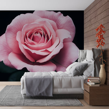 Pink rose macro wallpaper creating a stunning feature wall in a modern bedroom with soft lighting