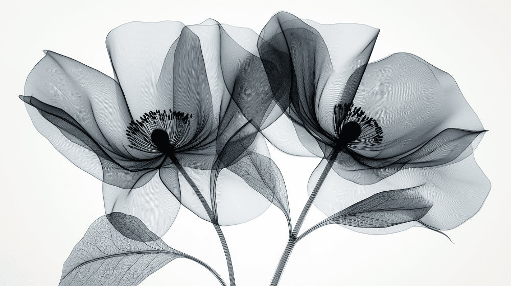 Black and white floral wallpaper design file showing detailed x-ray style botanical pattern