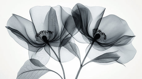 Black and white floral wallpaper design file showing detailed x-ray style botanical pattern