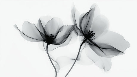 Black and white floral wallpaper design file showing detailed X-ray flower pattern