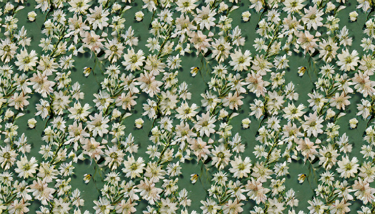 Design file showing detailed white daisies pattern on sage green background