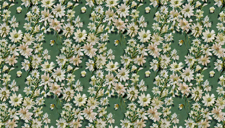 Design file showing detailed white daisies pattern on sage green background