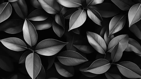 Black and white botanical wallpaper design file showing detailed leaf pattern and texture