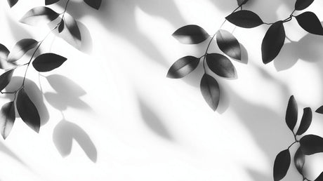 Black and white leaf shadow design file showing detailed botanical pattern and crisp contrast