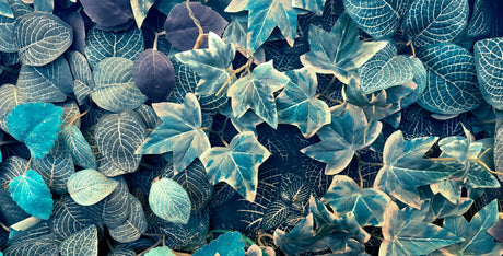 Botanical leaf design file showing intricate blue-green foliage pattern on navy background