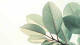 Green botanical leaf design file showing intricate natural patterns and textures