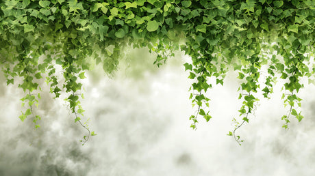 Cascading Ivy Green Wallpaper design file showing detailed leaf pattern and natural textures