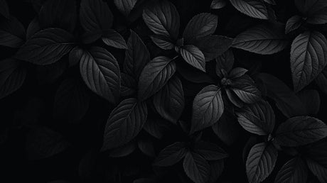 Dark monochrome leaves pattern design file showing intricate botanical details
