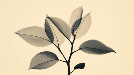 Botanical transparent leaves design file showing delicate x-ray effect and grayscale tones