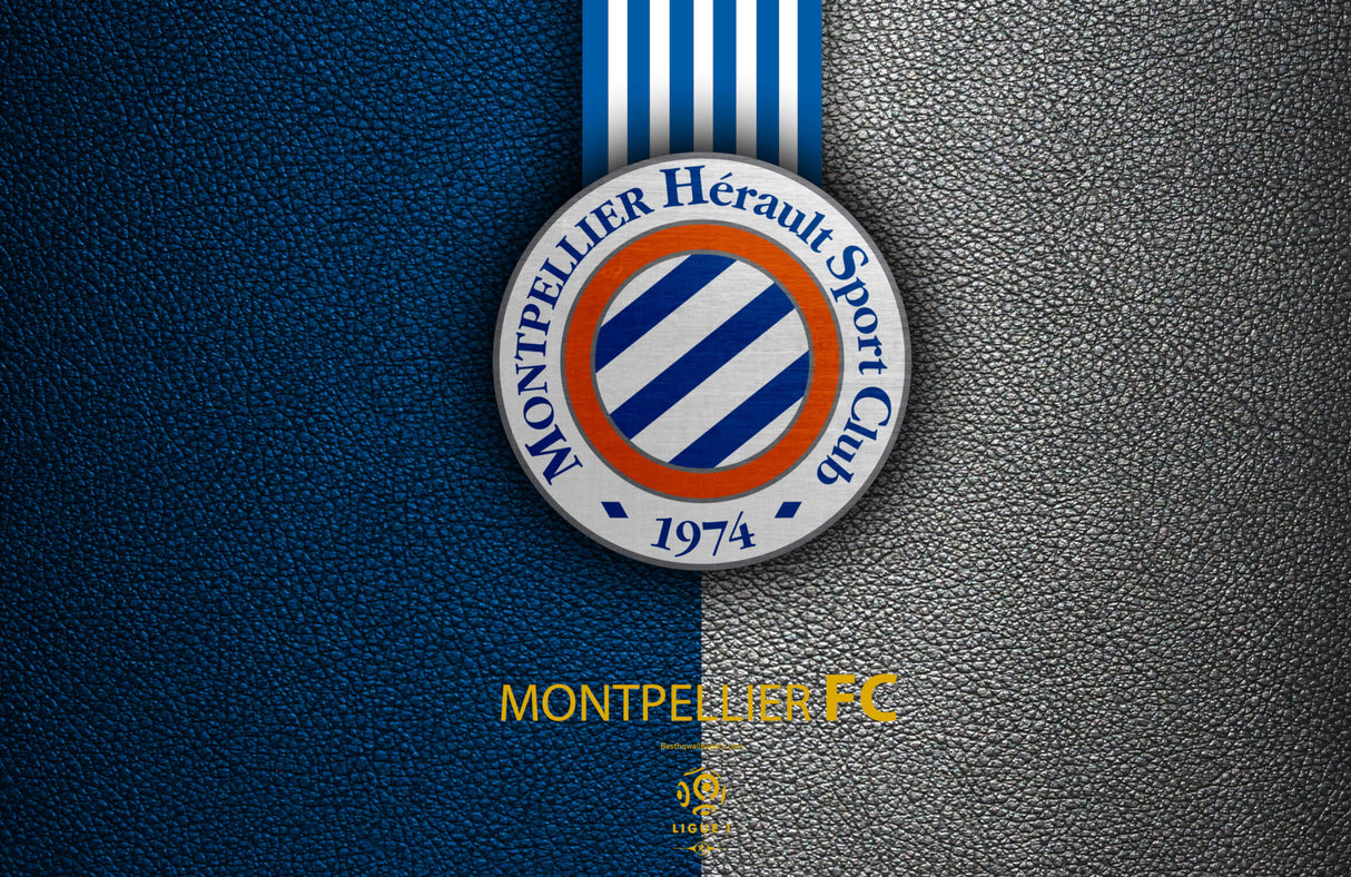 Design file of Montpellier football club wallpaper showing detailed pattern and colors