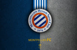 Design file of Montpellier football club wallpaper showing detailed pattern and colors