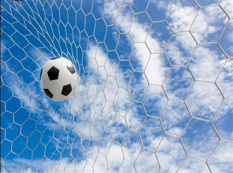 Soccer goal net design file with detailed net pattern and blue sky background