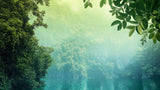 Forest lake wallpaper design file showing detailed misty green nature scene with morning lake reflection