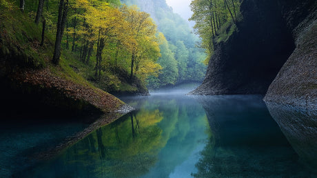 Mountain lake landscape design file showing misty forest scene with golden morning light