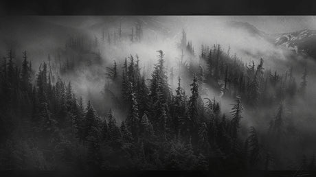 Black and white mountain forest design file showing complete misty landscape pattern