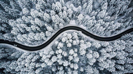 Design file showing detailed aerial winter forest pattern with snow-laden trees and curved road