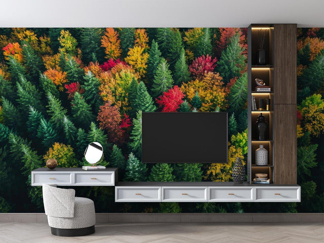 Forest wallpaper mural in modern living room, showing aerial autumn colors view creating depth and warmth