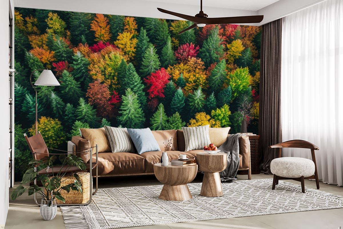 Autumn forest aerial view wallpaper in dining room, highlighting warm fall colors and natural light
