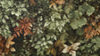 Forest mural wallpaper with autumn leaves shown in a bright living room setting, green and terracotta tones creating depth