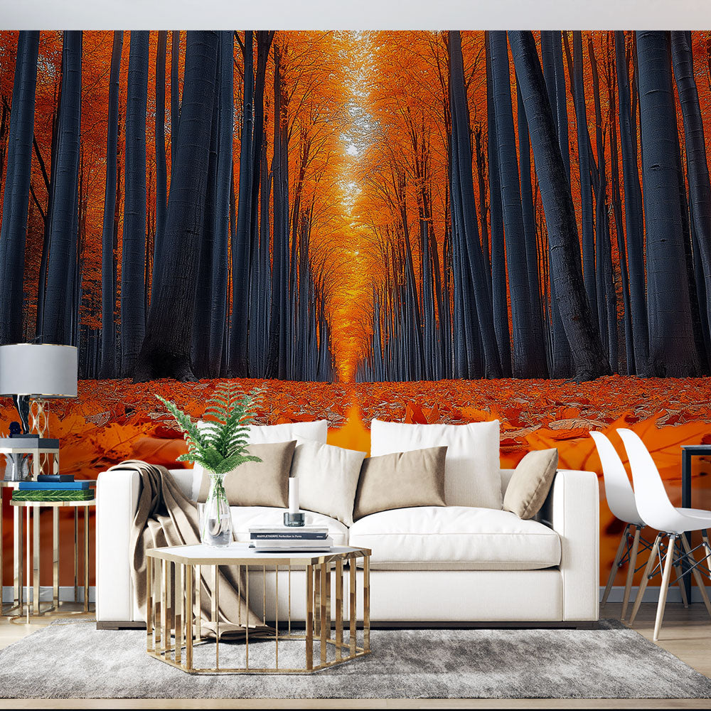 Forest path wallpaper mural creating depth in a modern living room, golden autumn colors warm up the space