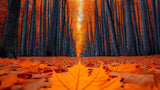 Autumn forest path wallpaper design file showing detailed tree trunks and golden leaves pattern