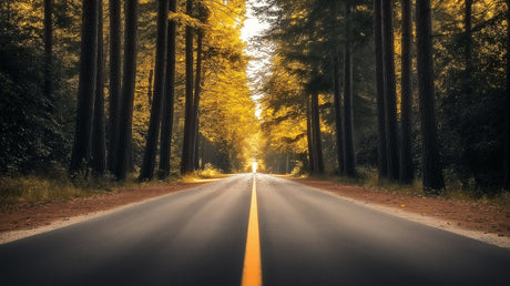 Forest road with golden trees design file showing detailed autumn colors and path perspective