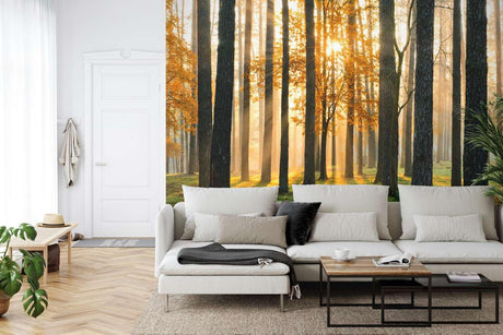 Forest wall mural creating depth in modern living room, sunlight streaming through pine trees