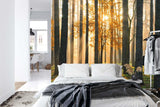 Woodland mural in meditation room, golden autumn forest scene